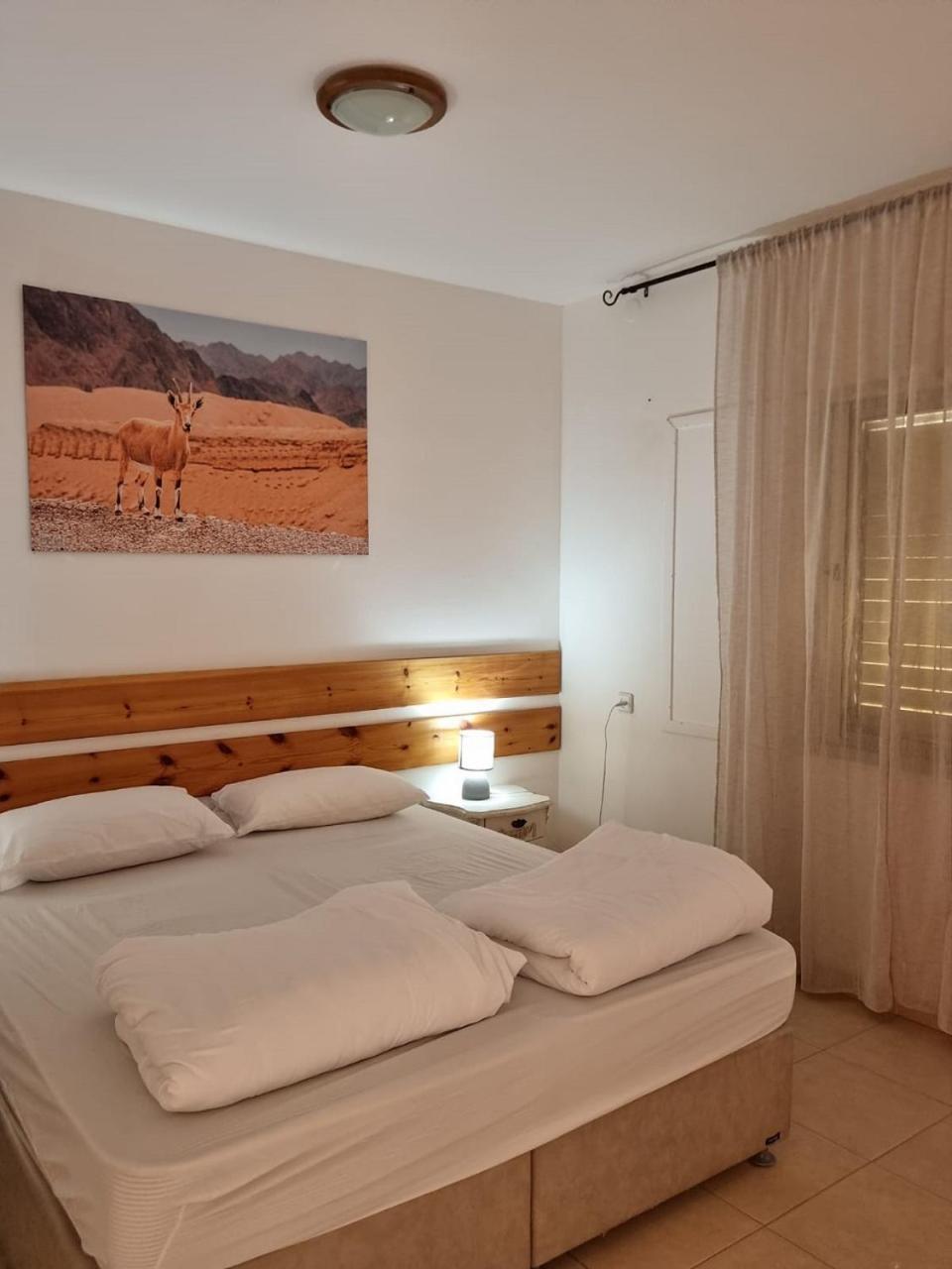 Elifaz Desert Experience Holiday Экстерьер фото
